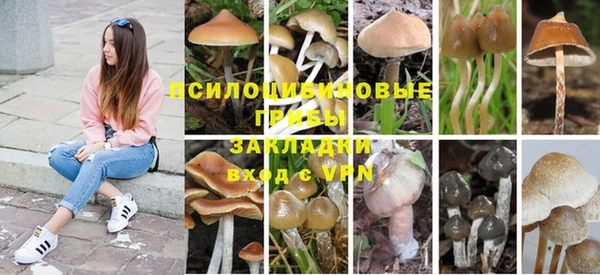 мефедрон мука Заводоуковск